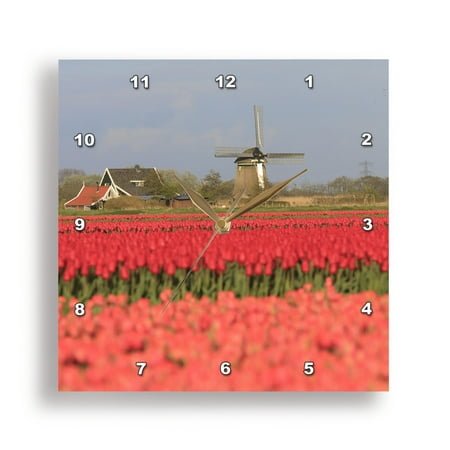 3dRose, Het Zand, North Holland, Netherlands. Tulip fields and windmill., 15x15 Wall Clock