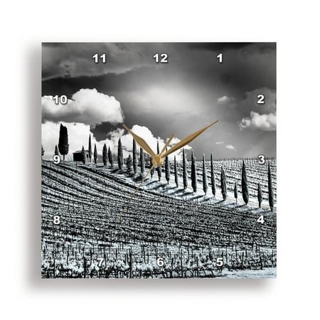 3dRose, Italy. Infrared of field road and vineyards in Chianti region, 15x15 Wall Clock