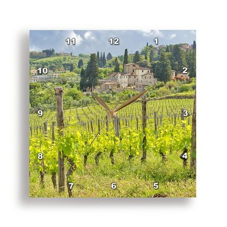 3dRose, Italy, Tuscany, Panzano. Spring green of the vineyards., 15x15 Wall Clock