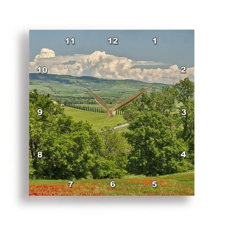 3dRose, Italy, Tuscany. View of long rows of cypress trees and villa, 15x15 Wall Clock