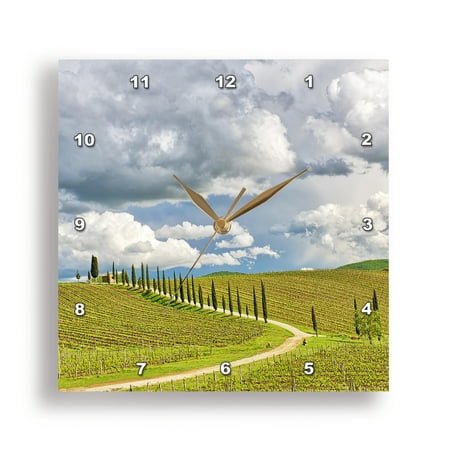 3dRose, Italy, Tuscany. Chianti Region, winding road through Spring vineyards, 15x15 Wall Clock
