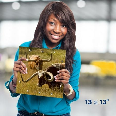 3dRose, Texas Longhorn, Custer, South Dakota, Usa, 13x13 Wall Clock