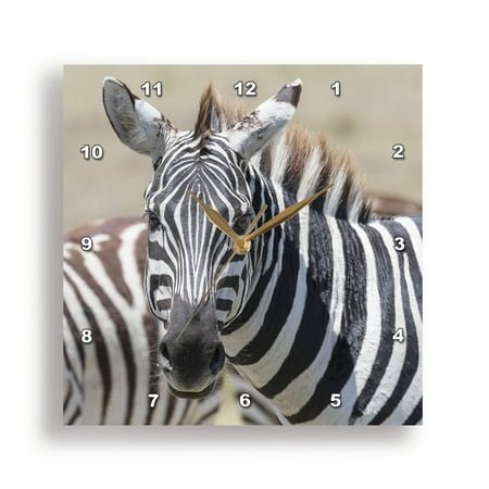 3dRose, Africa, Kenya, Maasai Mara National Reserve. Closeup of zebra., 15x15 Wall Clock