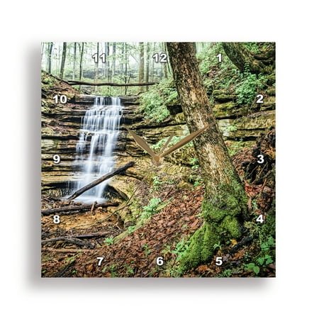 3dRose, Blue Spring Falls Right Hand View in Monte Sano State Park, 15x15 Wall Clock
