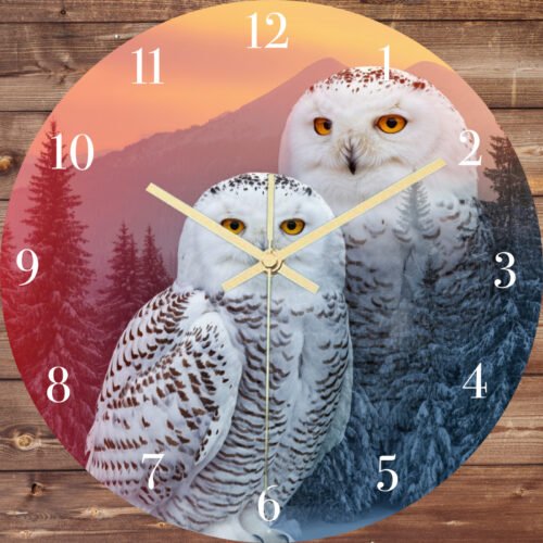 10 inch 12 Hour Beautiful Colorful Owl and Bird Clocks Pick A Design Home Decor