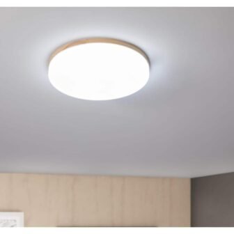 15 in. 1-Light White Creative Design Simple Circle 25-Watt Integrated LED Flush...
