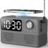 Best Braun Digital Radio Alarm Clocks