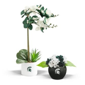 17 in. MSU Spartans Artificial Orchid Plant and Hydrangea - Fan-Favorite College...