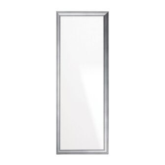 19.5 in. W x 53 in. H Cool Silver Slim Wall Mirror