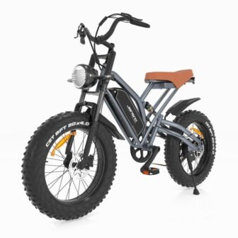 20 in. 750-Watt 48-Volt 12.8 Amp Fat Tires, 7-Speed Shimano Snow Beach...