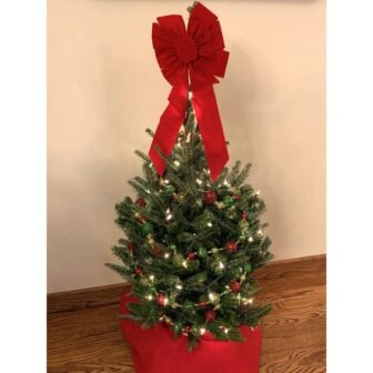 2.5-3.5 ft. Freshly Cut Live Tabletop Fraser Fir Christmas Tree with Stand