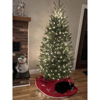 5 ft. to 5.5 ft. Freshly Cut Fraser Fir Live Christmas Tree