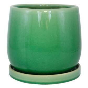 8 in. Mint Oceana Ceramic Planter