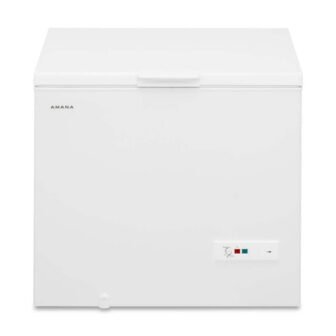 9 cu. ft. Chest Freezer in White