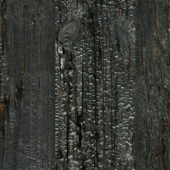 Accent Kilamanjaro 18-Piece 1/4 in x 6 in x 48 in. Wall...