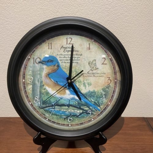 American Expedition 16" Wall Clock " EASTERN BLUEBIRD " Works 1 AA Battery