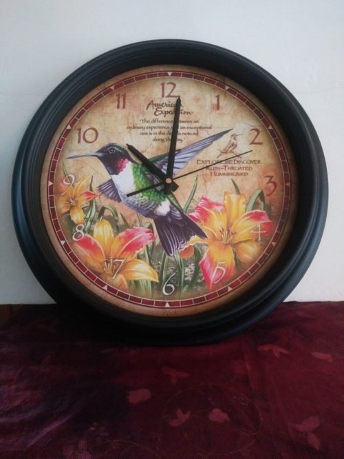 American Expedition Hummingbird Clock 16 Inches AS IS