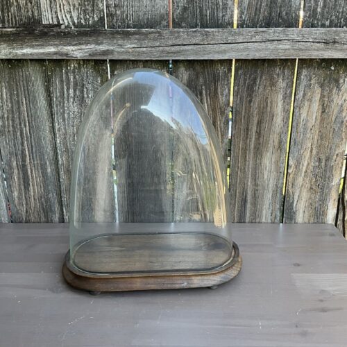 antique frech oval glass dome & base, french clock dome