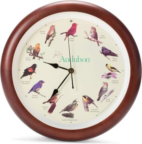 Audubon Singing Bird Wall Clock, Cherry Finish Wood Frame 13 Inch
