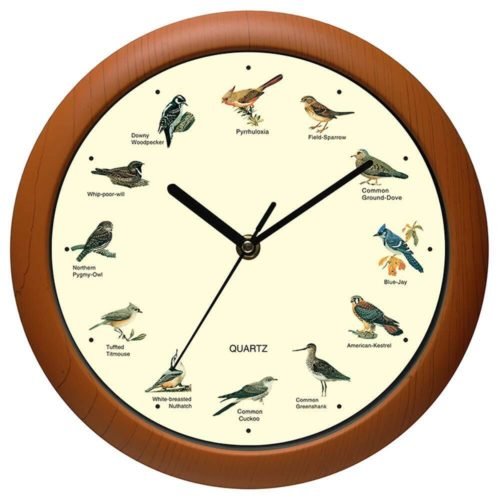 Belinlen Singing Bird Wall Clock 12 Inch of The Bird Names and Songs