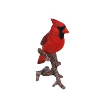 Cardinal on Branch