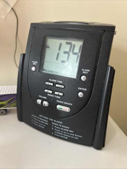 Clock/Alarm Radio With Auxiliary Function