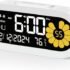 Best Fully Dimmable Alarm Clocks