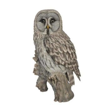 Grey Owl on Stump