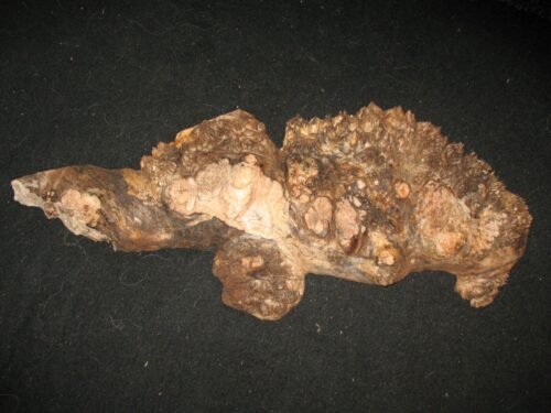 Lace Maple Burl Natural Slab Lumber Table Clock Craft Art Piece 28"