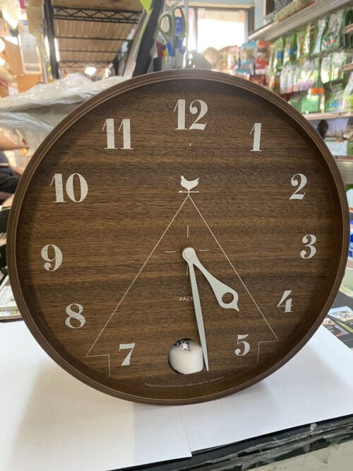 Lemnos PACE Natural LC11 09 NT Cuckoo clock Open Box