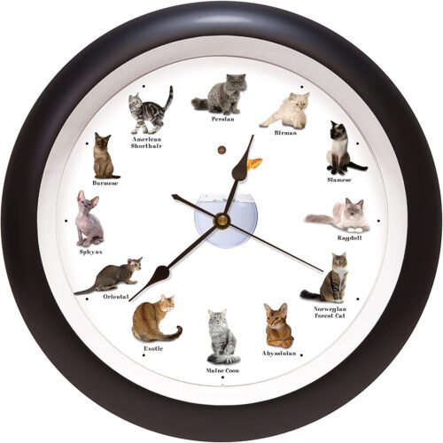 Meowing Cat Sounds Wall Clock 13 Black 12 Popular Breeds