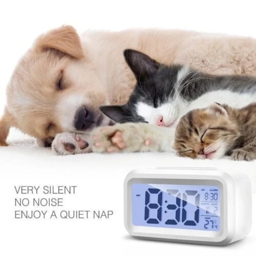 Mini Smart Alarm Clock with Night Light and Easy to Read Digital Display