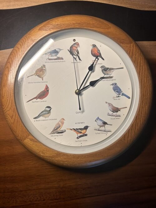 National Audubon Society 13" Singing Bird Wall Clock Natural Wood ~ No Chime
