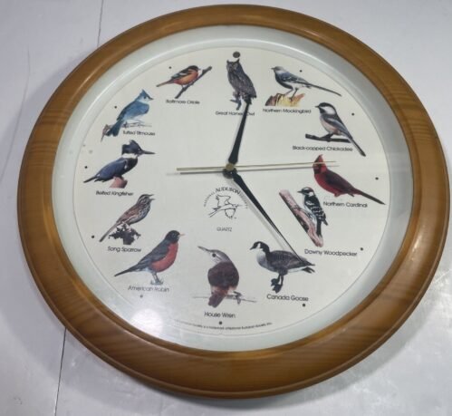 National Audubon Society Singing Bird Sounds Quartz Wall Clock 13" Tested