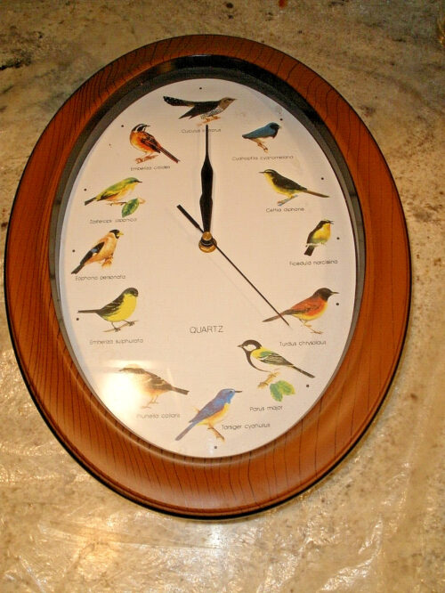 OVAL QUARTZ BIRD CLOCK WALL MOUNT BIRD SINGING & TIME WORKS