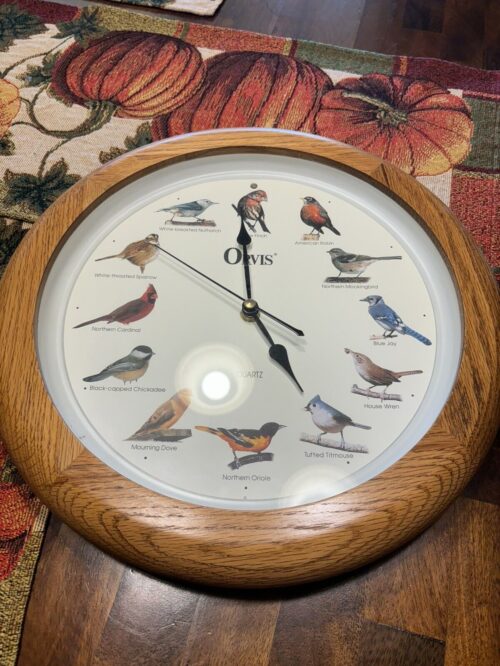 OVAL QUARTZ BIRD CLOCK WALL MOUNT BIRD SINGING & TIME WORKS