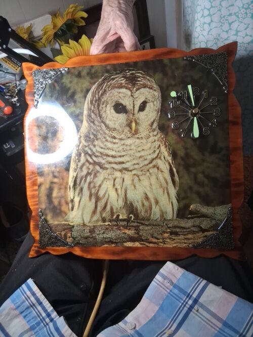 Owl Clock