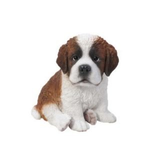 Saint Bernard Puppy
