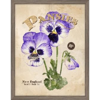 Seed Packet Pansies Framed Giclee Vintage Art Print 15 in. x 19...