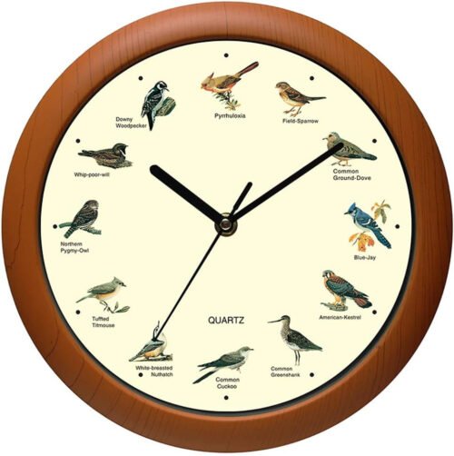 Singing Bird Wall Clock 12 Inch of the Bird Names and Songs