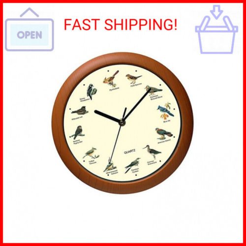 Singing Bird Wall Clock 12 Inch of The Bird Names and Songs