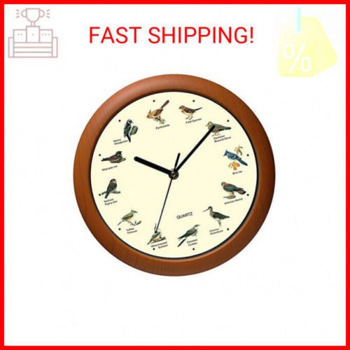 Singing Bird Wall Clock 12 Inch of The Bird Names and Songs