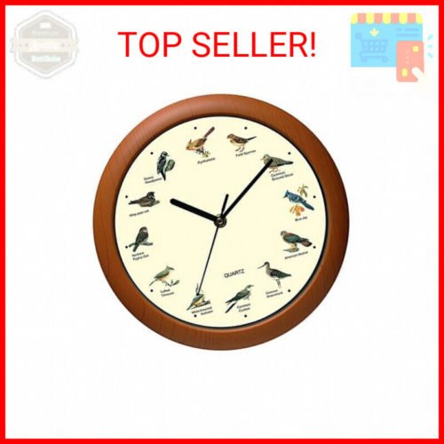 Singing Bird Wall Clock 12 Inch of The Bird Names and Songs