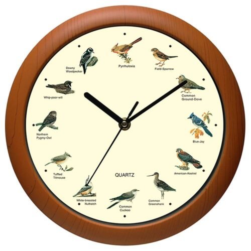 Singing Bird Wall Clock 12 Inch of The Bird Names and Songs