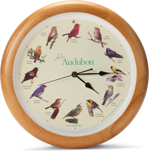 Singing Bird Wall Clock, Oak Wood Frame 13 Inch