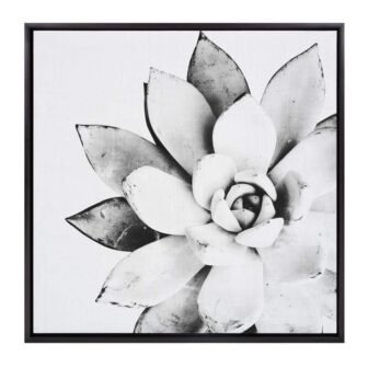 Sylvie "Modern Succulent" by Tai Prints Framed Canvas Wall Art