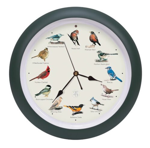The Original Singing Bird Hanging Wall Sound Clock, 13 Inch, Green, 25th Edition