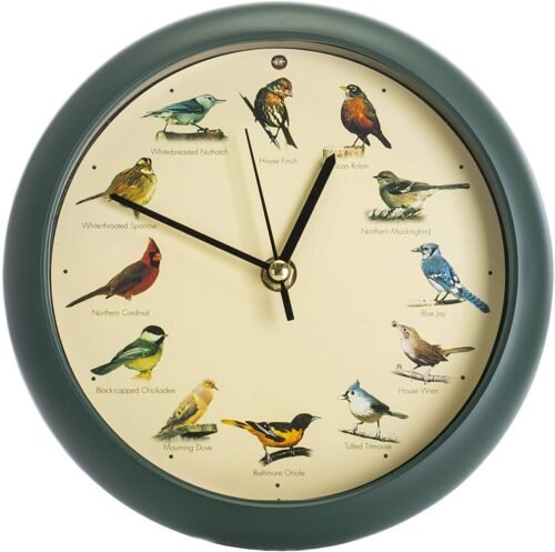 The Original Singing Bird Wall / Desk Sound Clock, 8 Inch, Green