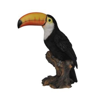 Toucan On Stump