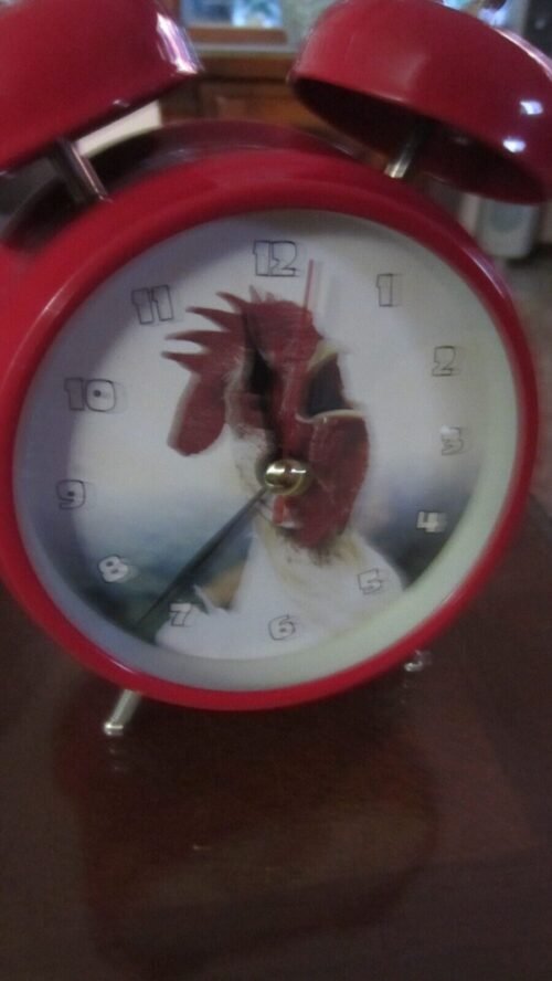 Wacky Wakers Rooster Alarm Clock Wake Up With The Sound Of A Rooster